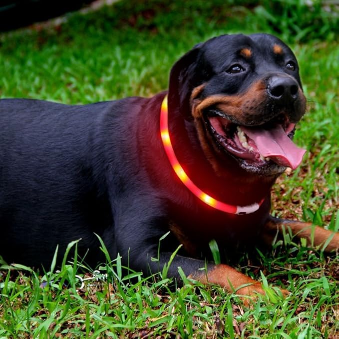 LED Dog Collar,USB Rechargeable Glowing Dog Collars, Light Up Collar Improved Pet Safety &Visibility at Night, 3 Flashing Modes,Water-Resistant LED Lighted Fits for Small Medium Large Dogs