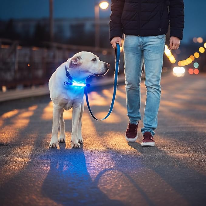 2 Pack LED Light for Dog Leash Harness, USB Rechargeable Light Up Collar with Nylon Stickers, Glow Light Easy to Attach to Collar Leash and Harness, Safety LED Light Up Band for Dogs at Night Walking