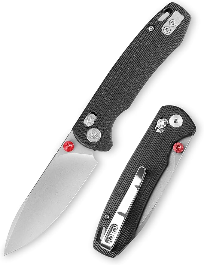 EDC Folding Pocket knife with Clip for Men,Thumb Studs Crossbar Lock Knives with 2.99" 14C28N Steel Blade, G10 Handle for Camping Hiking,Dragonfly-B