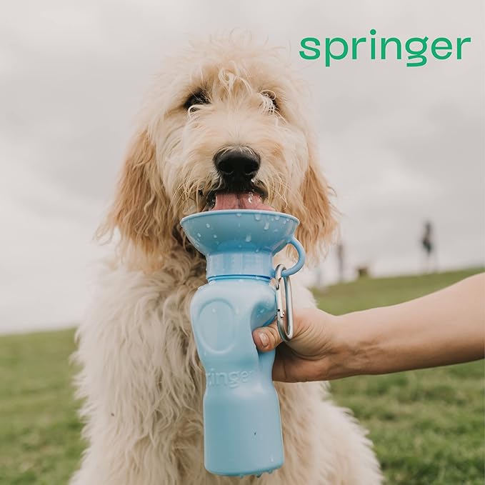 Springer Dog Water Bottle | Portable Travel Water Bottle Dispenser for Dogs | Dog Gift Seen on Oprah's Favorite Things, Shark Tank | Leak-Proof Bottles Fill Bowl with Water | BPA-Free 22oz Gray