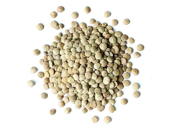 Food to Live - Whole Green Lentils, 1 Pound Dried Raw Lentils, Sproutable, Kosher, Vegan. Rich in Dietary Fiber, and Protein. No Soaking Required. (Pack of 2)