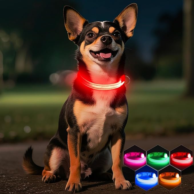 Light Up Dog Collar for Small Dogs - Rechargeable Puppy LED Collar Glowing Dog Lights for Night Walking (X-Small, Red)