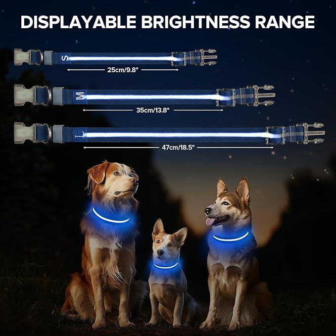 Light Up Dog Collar, Adjustable USB Rechargeable Glow in Dark Dog Collar ，Waterproof Dog Collars for Small Dogs (Blue, Small)