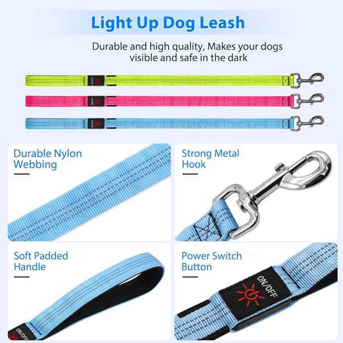 Candofly Light Up Dog Leash - 4 Ft Glowing Pet Leash Reachargeable - Nylon LED Dog Leash for Night Walking (Sky Blue)