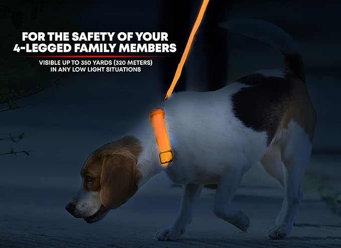 ILLUMISEEN LED Dog Collar USB Rechargeable - Bright & High Visibility Lighted Glow Collar for Pet Night Walking - Weatherproof, in 6 Colors & 6 Sizes (Orange Medium)