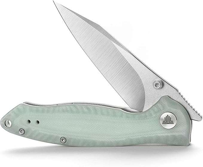 Folding Pocket Knife with Reversible Clip,Front Flipper EDC Knifefor Men,3in 14C28N Thumb Studs Blade, Liner Lock G10 Handle, Outdoor Camping Tool,Delphinus-03（Stonewash + Satin）