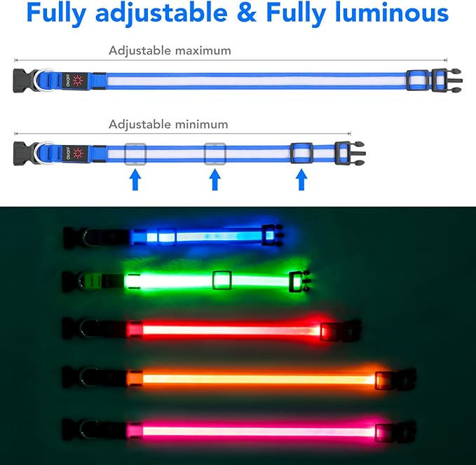 Vizpet LED Dog Collar, Light Up Dog Collar Adjustable USB Rechargeable Super Bright Safety Light Glowing Collars for Dogs(Small,Blue)