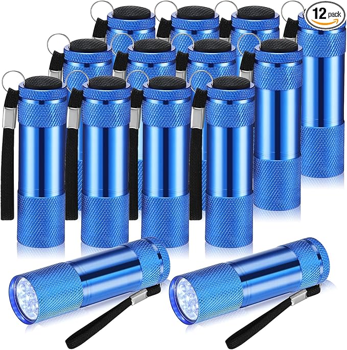 VIHOSE 12 Pcs Mini Flashlights Bulk, Bright Aluminum Handheld Flash Lights with Lanyard, Small LED Flashlights for Kids Night Reading Emergency Hurricane Camping Hiking Party Favors(Blue)