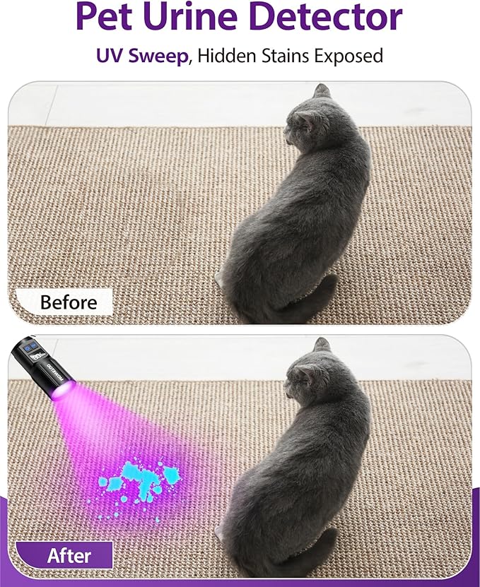 Black Light Flashlight 395NM, UV Light USB C Rechargeable with LCD Display, Zoomable Woods Lamp 2N1, Blacklight for Pet Urine Detection, Resin Curing, Rocks, Travel, Minerals, Scorpion, Glass, Leak