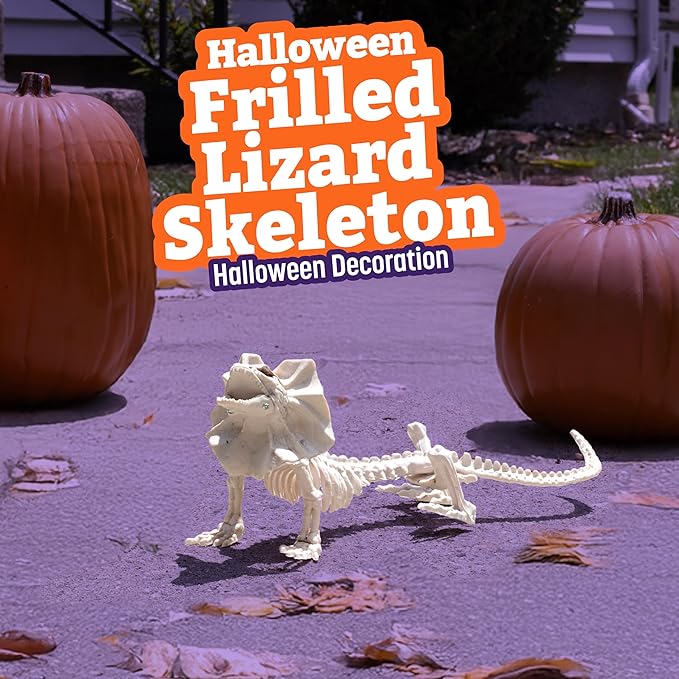 17" Frilled Lizard Skeleton Halloween Decoration- Weather Resistant for Indoor/Outdoor Spooky Decor- Perfect for Tabletop Party Decor, Haunted Houses, Graveyards- Agama Bones- Creepy Dragon Prop