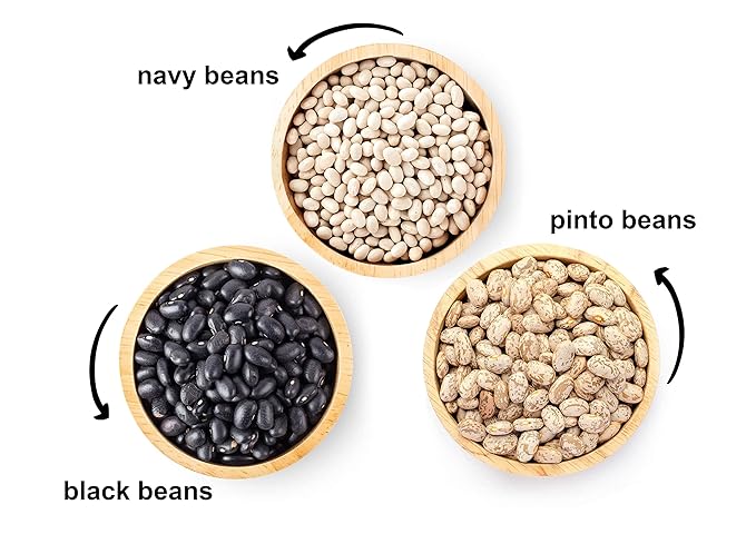 Food to Live Premium Dry Beans Bundle, 3 Pack - Black Beans (5 LB), Pinto Beans (5 LB), Navy Beans (5 LB), Non-GMO Verified, Sproutable, Bulk. Rich in Fiber, Protein. Perfect for Soups. Made in USA