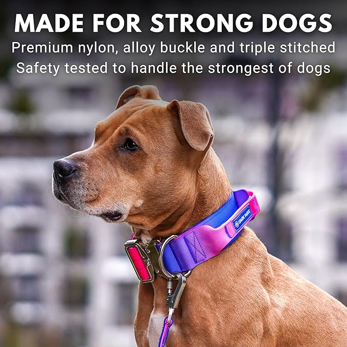Spark Paws Tactical Dog Collar with Handle - Premium Quality Collar, Robust and Durable Design for Large, Strong Breeds - Pitbulls, Labradors, GSD - Snow Cone - L -1.5"