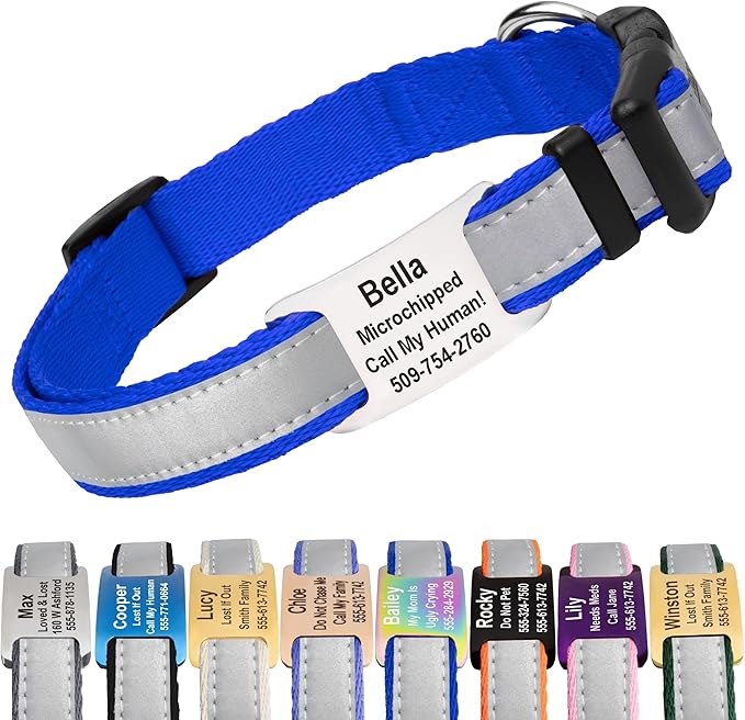 GoTags Reflective Personalized Dog Collar with Nameplate, Adjustable Dog Collar with Custom Engraved Steel Slide On Pet ID Tag, Silent, No Noise Dog Tag for Large Medium or Small (Blue, Medium)