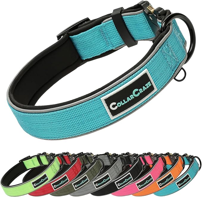 Dog Collar for Small Medium Large Dogs, Reflective, Adjustable Heavy Duty Dog Collar, Soft Neoprene Padded Comfortable for Walking (Blue, XL)