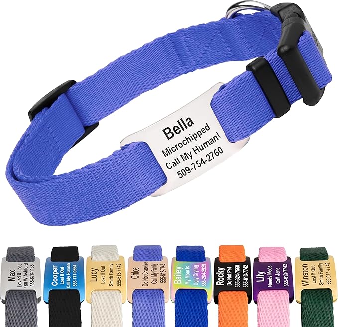 GoTags Personalized Dog Collar with Nameplate, Adjustable Dog Collar with Custom Engraved Slide On Pet ID Tag in Stainless Steel, Silent, No Noise Dog Tag (Lavender, Medium)