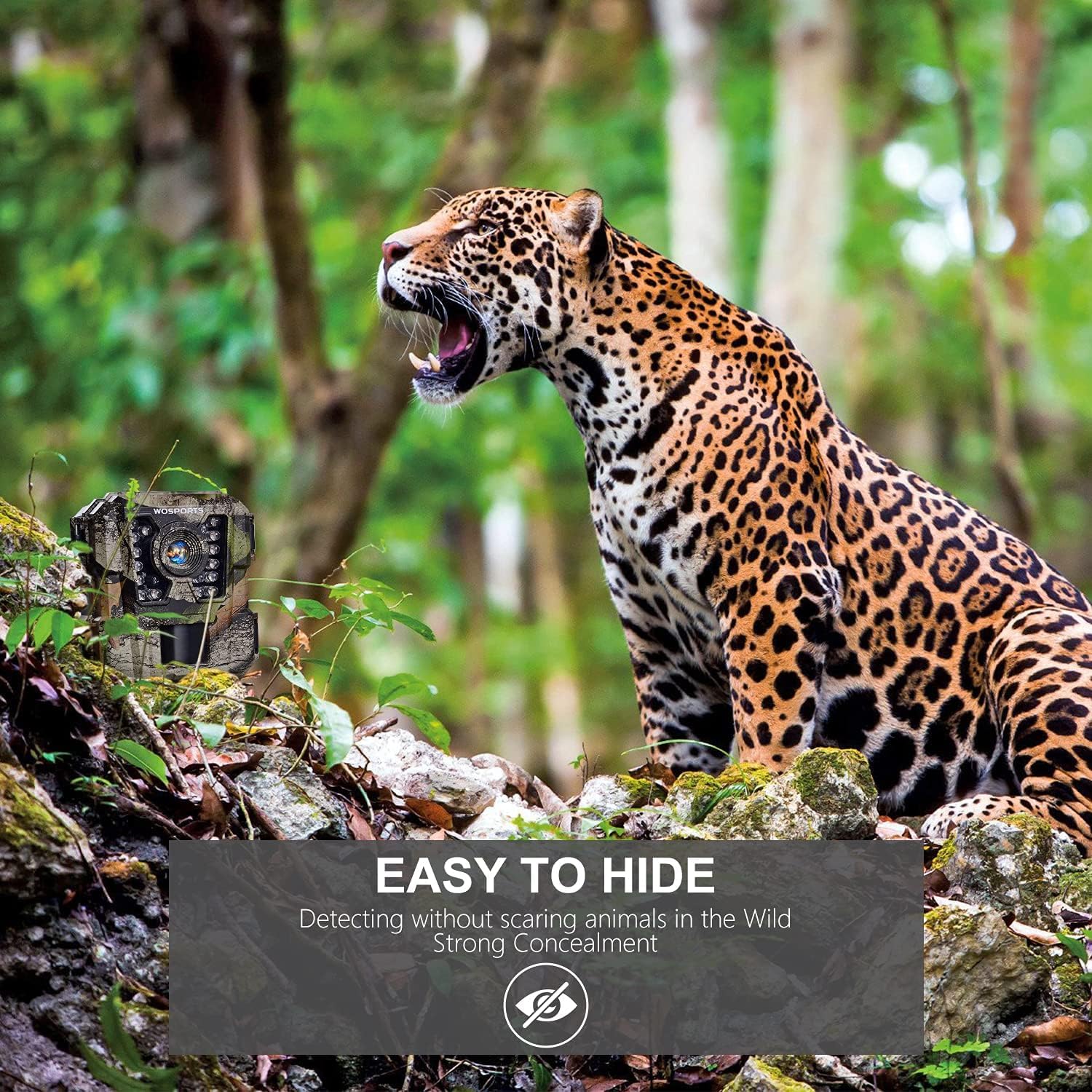 WOSPORTS Mini Trail Camera,24MP 1080P HD Game Camera Motion Activated with IR Night Vision