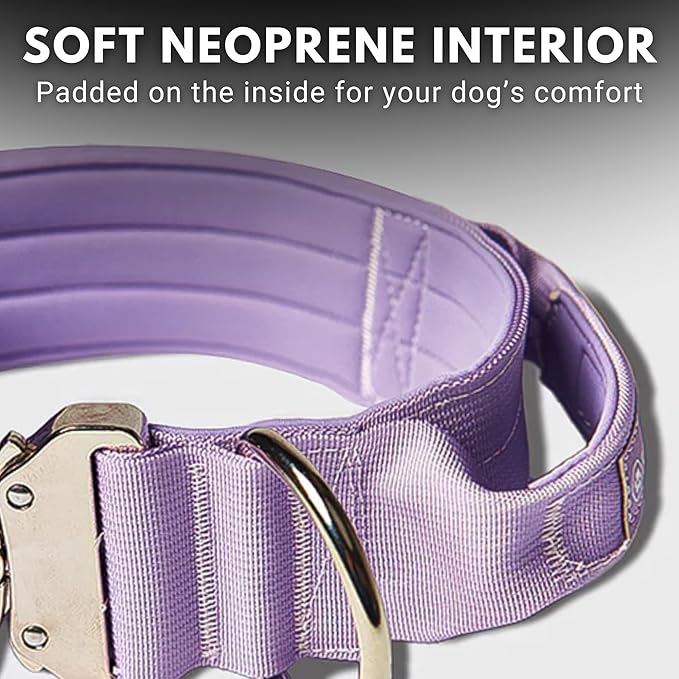 Spark Paws Tactical Dog Collar - Heavy Duty, Premium Quality, Thick and Durable for Large and Medium Dogs - Purple - L