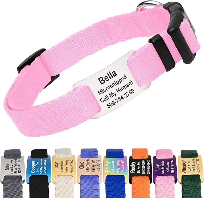 GoTags Personalized Dog Collar with Nameplate, Adjustable Dog Collar with Custom Engraved Slide On Pet ID Tag in Stainless Steel, Silent, No Noise Dog Tag for Large Medium and Small (Pink, Small)