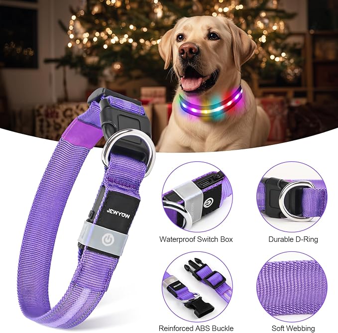 LED Dog Collar, Light Up Dog Collar, USB Rechargeable - Brightest Dog Lights for Night Walking, 6 Light Modes, Adjustable for Dog Safety(Large, Purple)