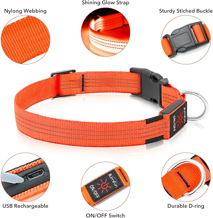 Illumifun Light Up Dog Collar USB Rechargeable LED Dog Collar, Adjustable Blinking Dog Light for Large Dogs (Orange?? Large)