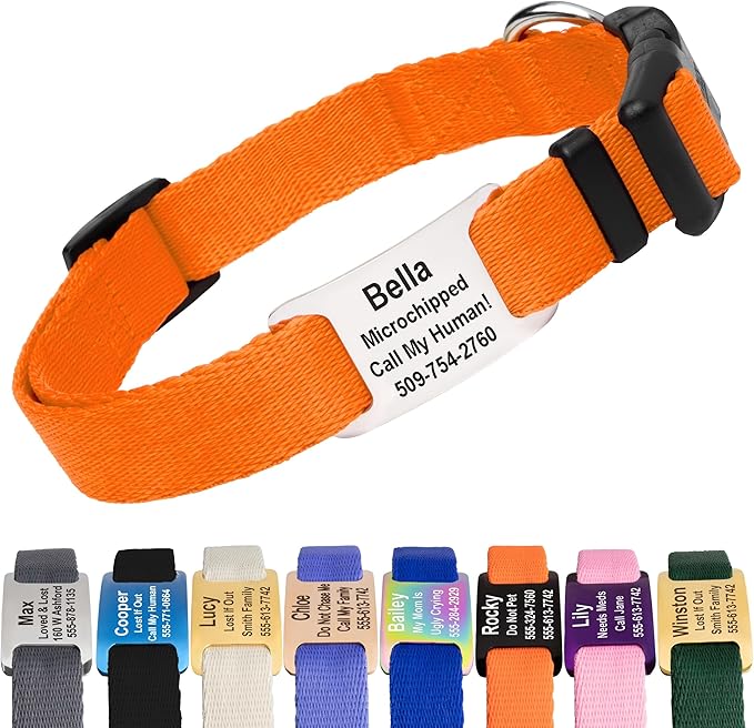GoTags Personalized Dog Collar with Nameplate, Adjustable Dog Collar with Custom Engraved Slide On Pet ID Tag in Stainless Steel, Silent, No Noise Dog Tag for Large Medium and Small (Orange, Medium)