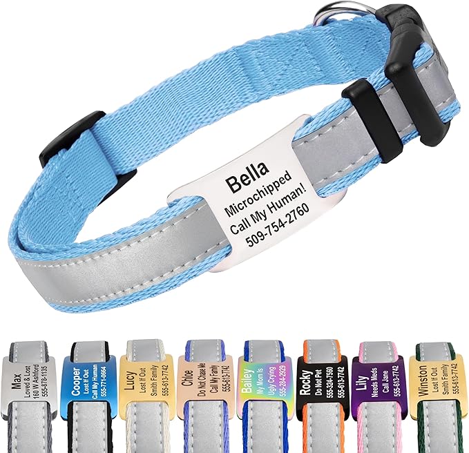 GoTags Reflective Personalized Dog Collar with Nameplate, Adjustable Dog Collar with Custom Engraved Steel Slide On Pet ID Tag, Silent, No Noise Dog Tag for Large Medium or Small (Light Blue, Large)