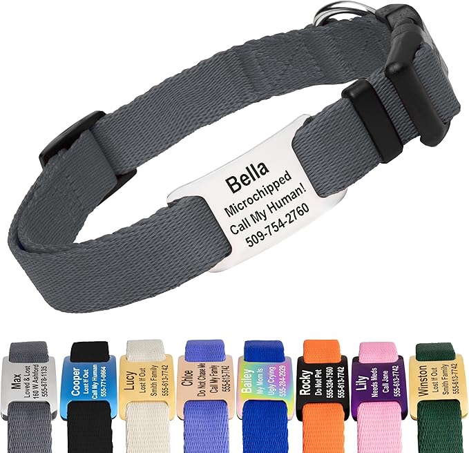 GoTags Personalized Dog Collar with Nameplate, Adjustable Dog Collar with Custom Engraved Slide On Pet ID Tag in Stainless Steel, Silent, No Noise Dog Tag (Charcoal, Small)