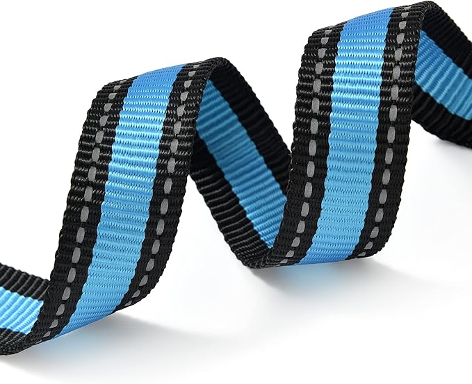 Mile High Life Dog Collar | Nylon Reflective Dog Collars | Light Weight Puppy Collars | Blue Dog Collars for Small Dogs (Blue, Small)