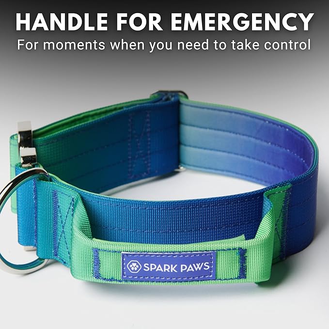 Spark Paws Tactical Dog Collar - Heavy Duty, Premium Quality, Thick and Durable for Large and Medium Dogs - Lime Wave - S
