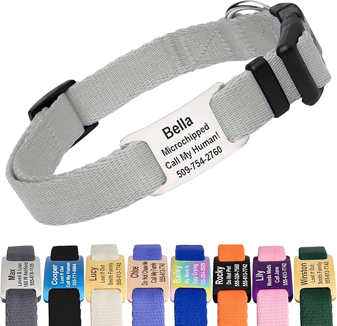 GoTags Personalized Dog Collar with Nameplate, Adjustable Dog Collar with Custom Engraved Slide On Pet ID Tag in Stainless Steel, Silent, No Noise Dog Tag (Light Gray, X-Small)