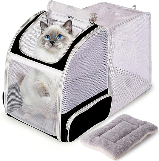 halinfer Backpack to Carry Cat and Small Puppy up to 16 Pounds, Breathable Pet Carrier to Transport Kitten Rabbit to Vet Visit Bag, Airline Approved Collapsible Expandable Black