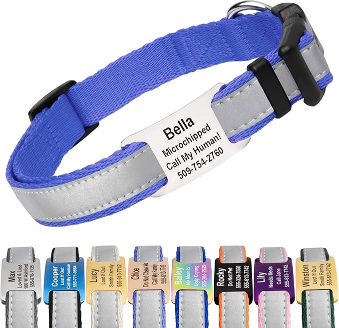 GoTags Reflective Personalized Dog Collar with Nameplate, Adjustable Dog Collar with Custom Engraved Steel Slide On Pet ID Tag, Silent, No Noise Dog Tag for Large Medium or Small (Lavender, Large)