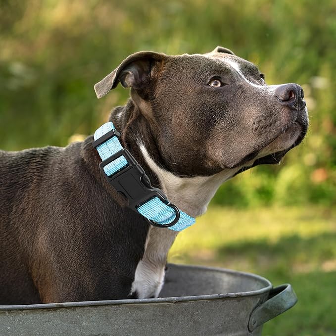 Mile High Life Dog Collar | Nylon Reflective Dog Collars | Light Weight Puppy Collars | Blue Dog Collars for Large Dogs (Solid Blue, Large)