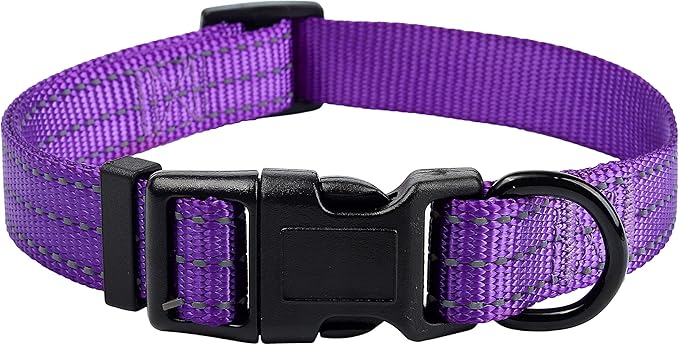 Mile High Life Dog Collar | Nylon Reflective Dog Collars | Light Weight Puppy Collars | Purple Dog Collars for Small Dogs (Solid Purple, X-Small)