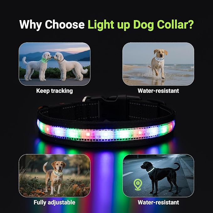 Light Up Dog Collar,Rechargeable Waterproof Led Dog Collar with Remote,Glow in Dark for Night Walking, Fits Small Medium Large Dogs-M