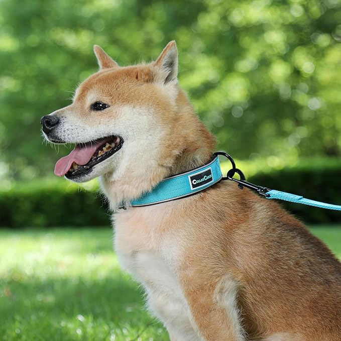 Dog Collar for Small Medium Large Dogs, Reflective, Adjustable Heavy Duty Dog Collar, Soft Neoprene Padded Comfortable for Walking (Blue, S)