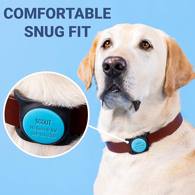 GoTags Designed for Airtag Engraved Dog Collar Holder, Personalized Case for Pet Collar, Up to 4 Lines of Custom Text, Slide On Tag for GPS Dog Tracker, Compatible with Apple iPhone (Solid, Large)
