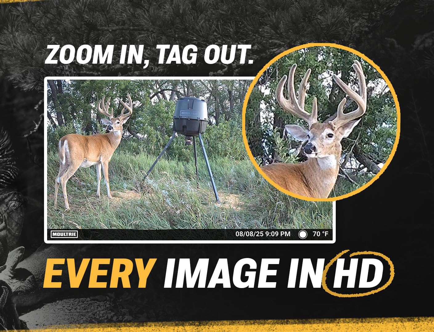 Moultrie Edge 2 Cellular Trail Camera 2-Pack - 36MP, Low-Glow Flash