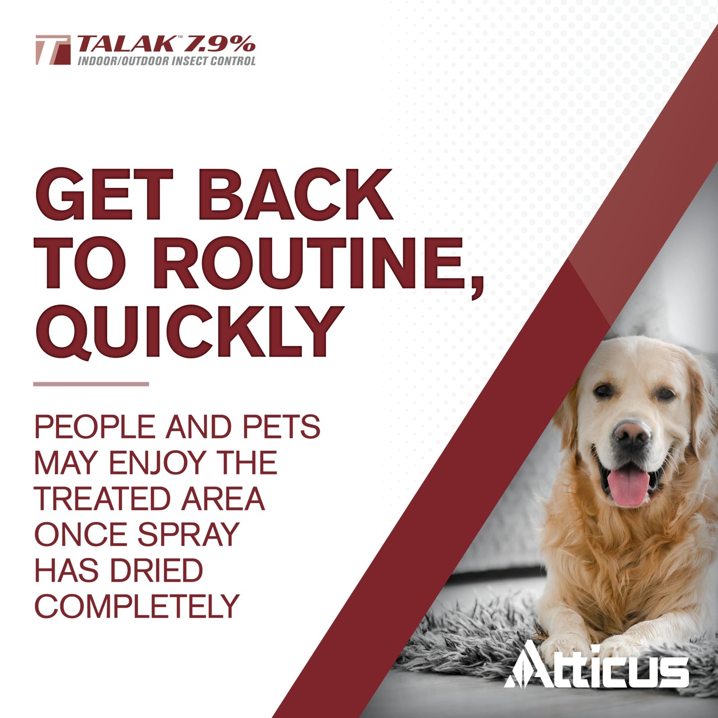 Atticus Talak 7.9% Indoor/Outdoor Bifenthrin Insecticide Concentrate (32oz)