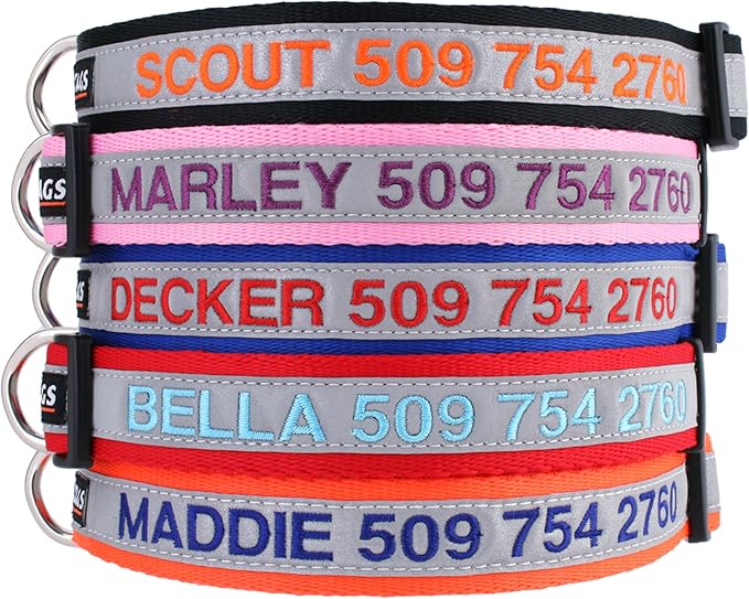 GoTags Reflective Personalized Dog Collar, Custom Embroidered with Pet Name and Phone Number in Blue for Boy and Girl Dogs, Adjustable Small