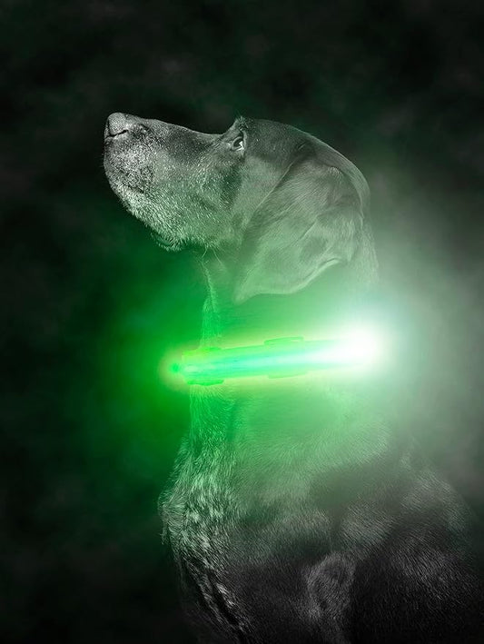 Mighty Paw LED Dog Collar - USB LED Rechargeable - USB Rechargeable Light - High Visibility Glow Strips - Glow Pet Weather Resistant - Enhanced Nighttime Visibility - Light Up Dog Collar - (L, Green)