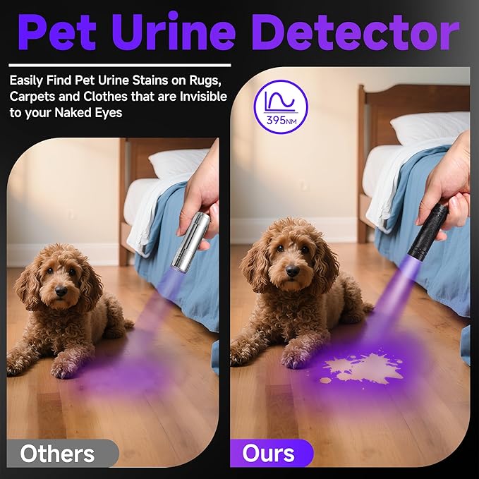 KunHe 60 Pack UV Flashlight 395nm Black Light Mini AAA Battery Ultraviolet LED Woods Lamp Powerful Portable Pet Urine Detector for Dogs Cats Dry Stains Bed Bugs Scorpions Finder Resin Curing