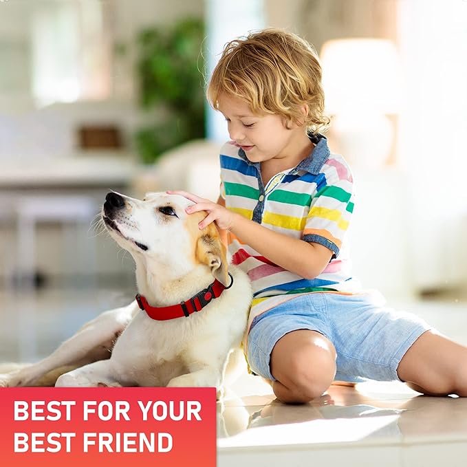 Adjustable Dog Collar with QR Code Dog Tag ID Attached - Made in USA - Honeycomb Waterproof Heavy Duty Dog Collar with Safe Lock Buckle - Odor Proof Pet Collar for Dogs with Strong Zinc D Ring