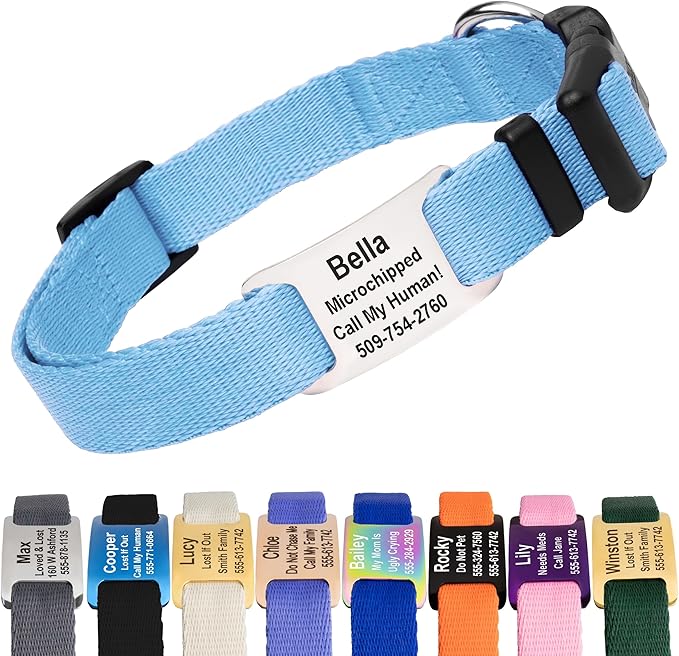 GoTags Personalized Dog Collar with Nameplate, Adjustable Dog Collar with Custom Engraved Slide On Pet ID Tag in Stainless Steel, Silent, No Noise Dog Tag (Light Blue, Large)