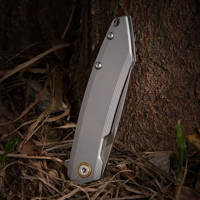 Ruike P831 Folding Tactical Knife with Clip Survival Pocket Knife Tactical EDC Tool Liner Lock 14C28N Steel Camping Knives 3.35inch Small Utility Knife Men Women Blet plus small Multi tool Key