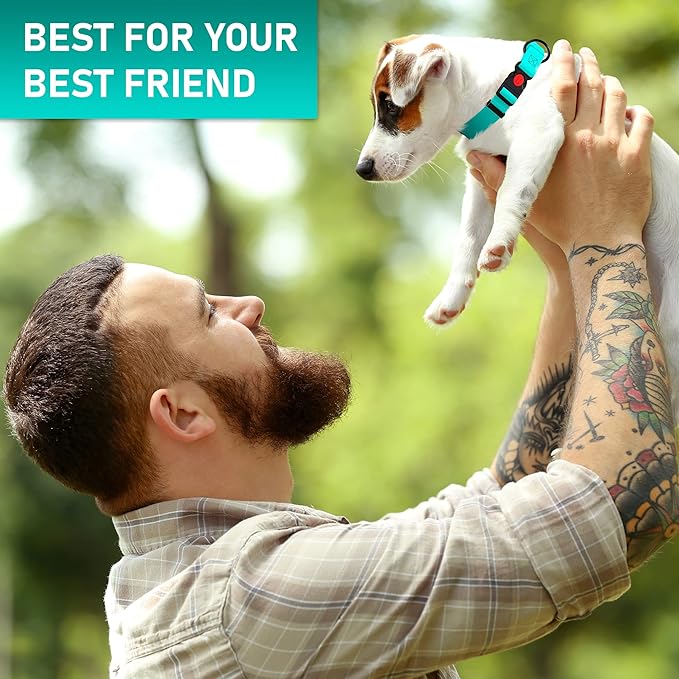 Adjustable Dog Collar with QR Code Dog Tag ID Attached - Made in USA - Honeycomb Waterproof Heavy Duty Dog Collar with Safe Lock Buckle - Odor Proof Pet Collar for Dogs with Strong Zinc D Ring
