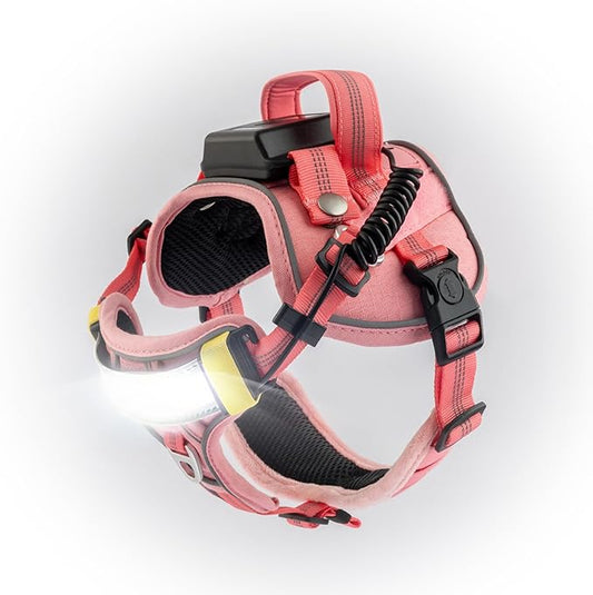Lumi One LED Dog Harness for Night Visibility and Safety, Patent Pending – Light-Up Dog Vest, Reflective, Adjustable, Rechargeable, Durable, High-Visibility Pet Gear (Pink, Medium)