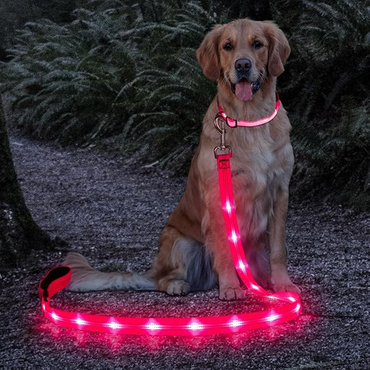 Candofly Light Up Dog Leash, USB Rechargeable LED Dog Leash, 4 Ft Reflective Pet Leash for Small Medium Large Dogs(Hotpink)