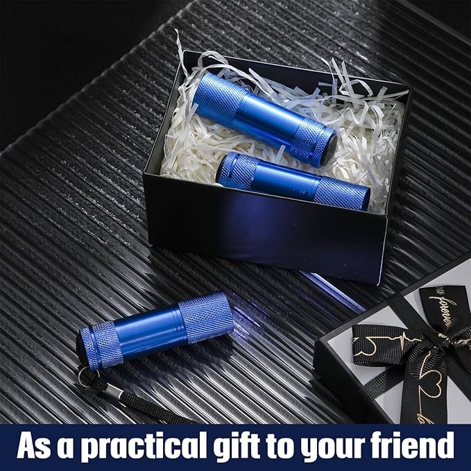 VIHOSE 20 Pcs Mini Flashlights Bulk, Bright Aluminum Handheld Flash Light with Lanyard Small LED Flashlights for Night Reading Emergency Hurricane Camping Hiking, Batteries Not Included(Blue)