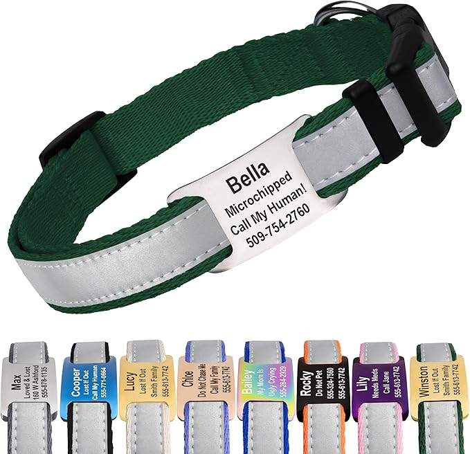 GoTags Reflective Personalized Dog Collar with Nameplate, Adjustable Dog Collar with Custom Engraved Steel Slide On Pet ID Tag, Silent, No Noise Dog Tag for Large Medium or Small (Hunter Green, Small)
